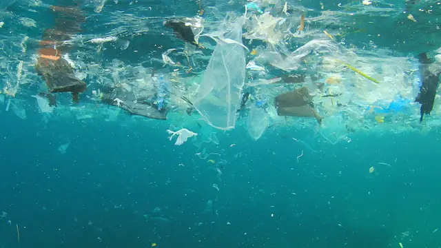 In Conversation with Ben Goldsmith: How the yachting community can support the Conservation Collective