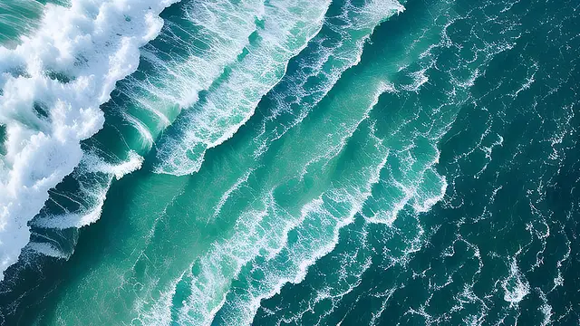 Celebrating World Ocean Day with 6 ways to protect marine life on land and at sea